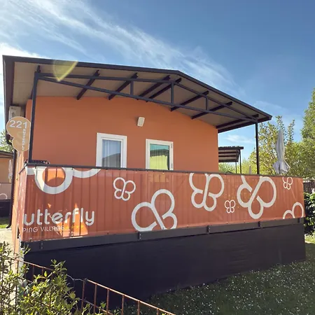 Village Butterfly