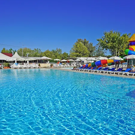 Village Butterfly Camping