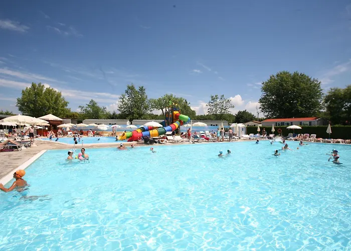 Kemping Village Butterfly